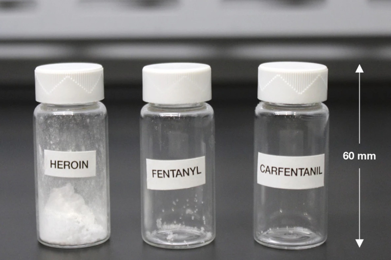 Heroin, Fentanyl, and Carfentanil Comparison