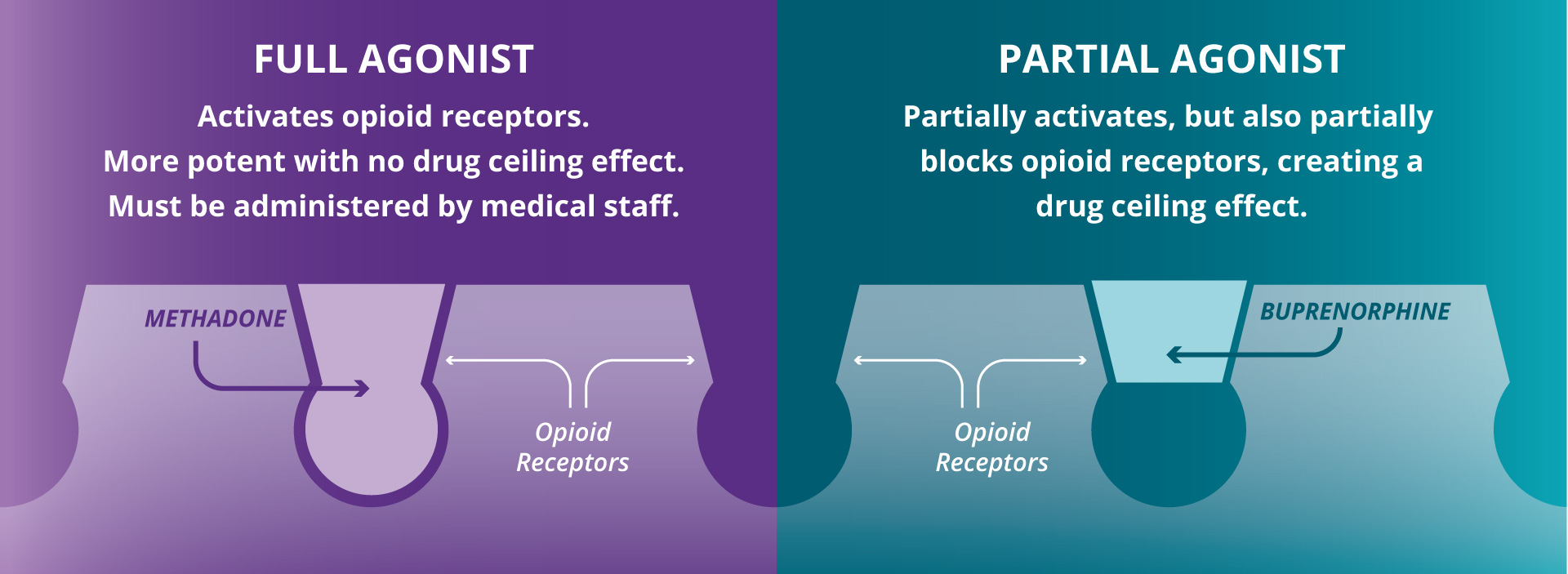 What Is a Drug Ceiling Effect?