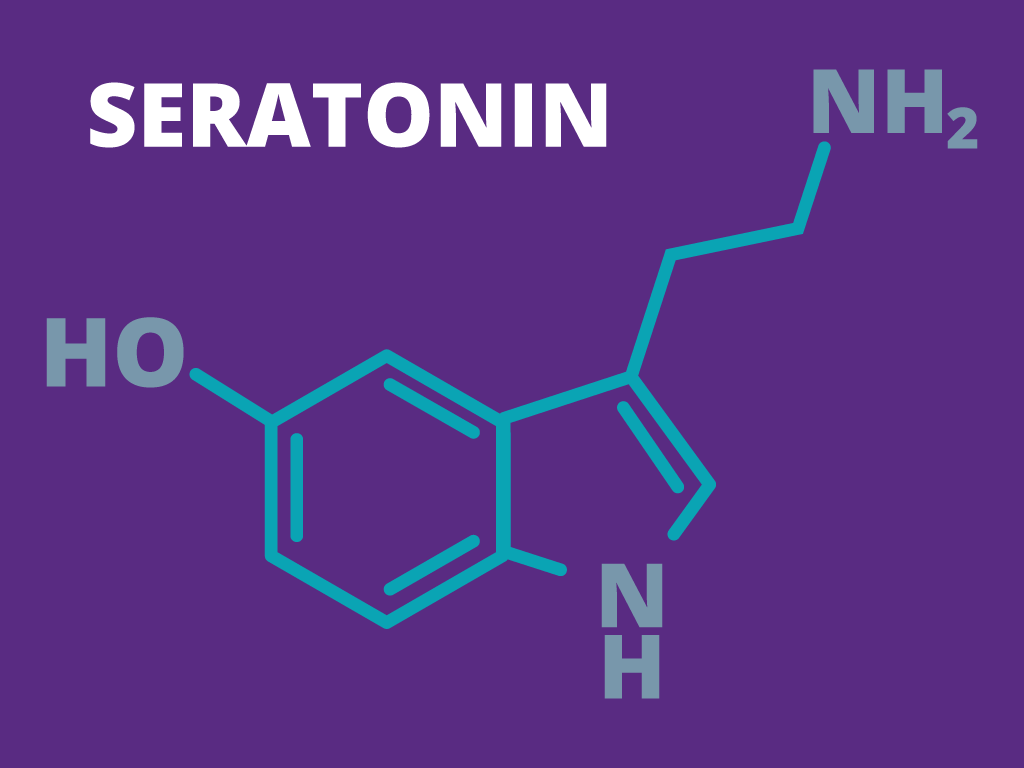 Seratonin